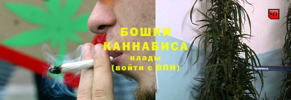 скорость Бородино