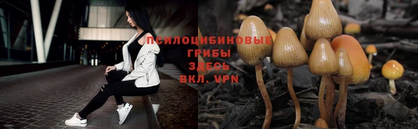 прущие крисы Бугульма