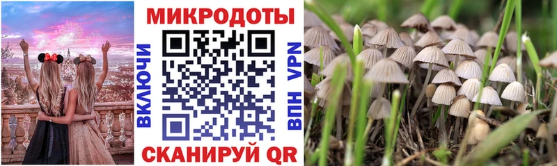 Псилоцибиновые грибы MAGIC MUSHROOMS  Динская 